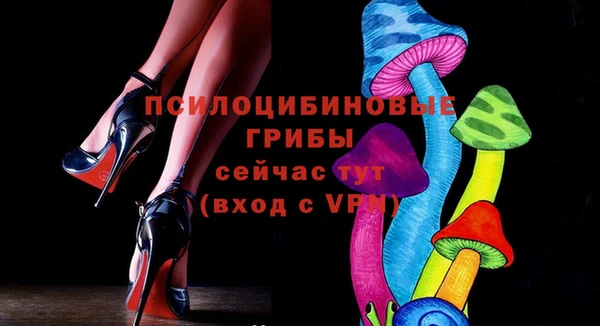 шишки Верея