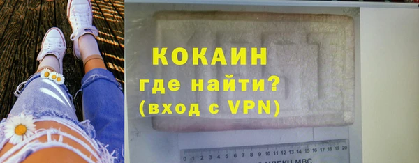 бошки Бородино