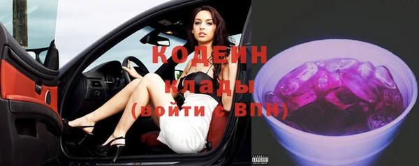 шишки Верея