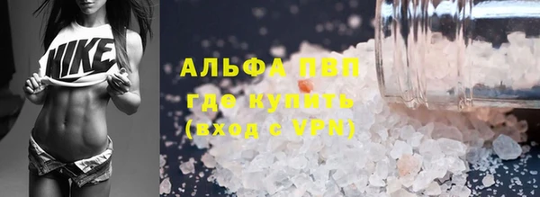 шишки Верея