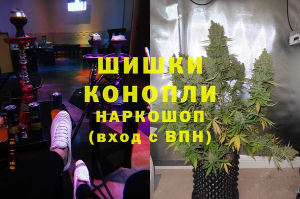 дживик Белокуриха