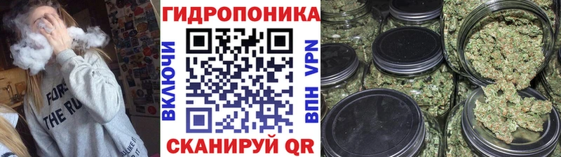 mega ССЫЛКА  продажа наркотиков  Волжск  Каннабис LSD WEED 
